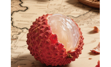 Today, Amcor solves the preservation problem of 